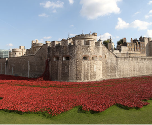 888,246  poppies spill from the walls of the Tower of London; one for each British soldier killed in WWI.
